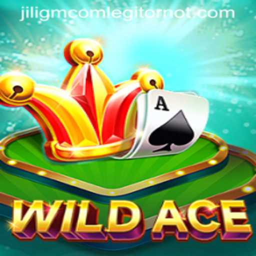 Exploring WildAce: An Engaging Gaming Experience